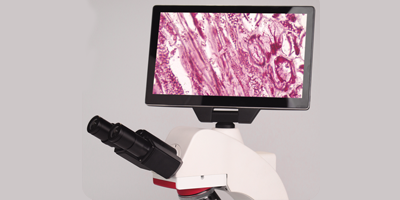 显示屏.png 显示屏.png